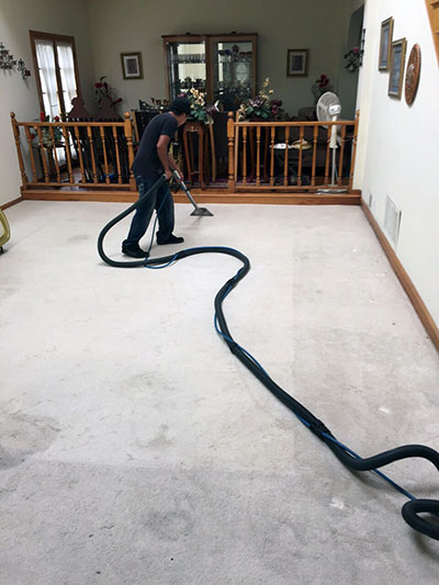 Carpet Cleaning Services