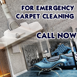 Contact Carpet Cleaning in California